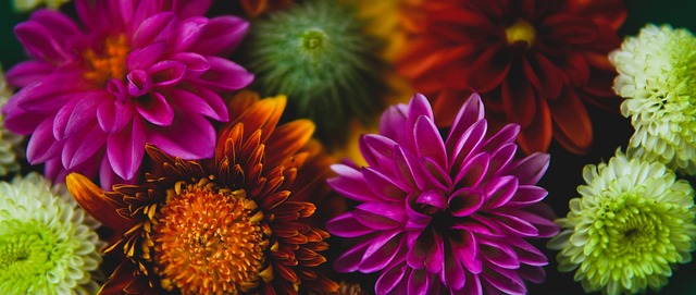 的速度与激 的速度与激