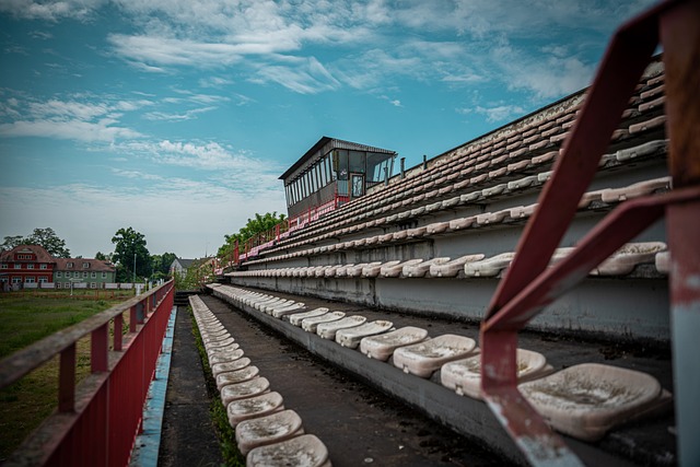 今年起点樱 今年起点樱