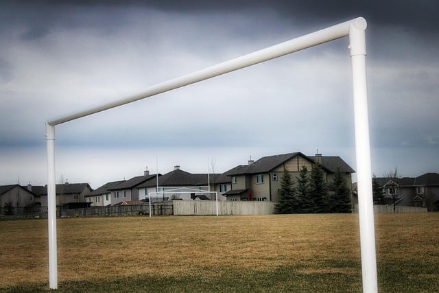 湖人队通过 湖人队通过